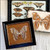 B.R.'s Moth / Kathy Barrick