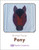 Animal Faces: Pony / Keb Studio Creations