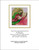 Angelic Harp Watercolor / Mary Gaines Designs