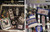 Folk Art Favorites / Mill Hill Publications