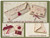Aster Sewing Set & Eyeglasses Case / MTV Designs