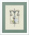 Letters From Nora - T / Nora Corbett