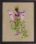 The Moss Collector The Black Forest Pixies / Nora Corbett