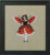 Miss Ladybug Intriguing Insects / Nora Corbett