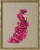 Lady Orchid Moth Orchid Party / Nora Corbett