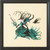 Masqued Mischief Bewitching Pixies / Nora Corbett