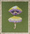 Miss Yellow Mushroom The Dark Forest / Nora Corbett