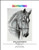 Horse, By Darrel Bevan / Paine Free Crafts