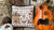 Houses on Pumpkin Lane Chart 5: Butternut House / Pansy Patch Quilts & Stitchery