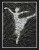 Matrix Ballerina I / Paula's Patterns