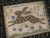Cottontail & Company Pinkeep / Scattered Seed Samplers
