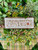 Scatter Blessings / Shepherd's Bush