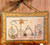 Star / Shepherd's Bush