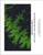 Fractal No 117 Cross Stitch / Stitchx Craft Designs