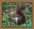 Squirrel Cross Stitch / Stitchx Craft Designs