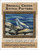 Seagull Cross Stitch Pattern / Stitchx Craft Designs