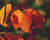 Nature's Finest Pattern No 089 / Stitchx Craft Designs