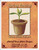 Spring Planting Cross Stitch Pattern / Stitchx Craft Designs