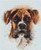 Puppy Painting Cross Stitch Pattern / Stitchx Craft Designs