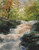 Woodland Creek Cross Stitch Pattern / Stitchx Craft Designs
