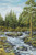 Woodland Seasons 3 Cross Stitch Pattern / Stitchx Craft Designs