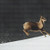 Snow Deer Cross Stitch Pattern / Stitchx Craft Designs