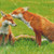 Cute Foxes Cross Stitch Pattern / Stitchx Craft Designs