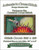 Dragonfly On Flower Cross Stitch Pattern / Stitchx Craft Designs