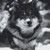 Cute Snow Wolf Cross Stitch Pattern / Stitchx Craft Designs