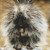 Prickly Porcupine Cross Stitch Pattern / Stitchx Craft Designs