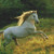 Prancing Pony Cross Stitch Pattern / Stitchx Craft Designs