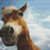 Silly Horse Closeup Cross Stitch Pattern / Stitchx Craft Designs