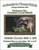 Peculiar Raccoon Cross Stitch Pattern / Stitchx Craft Designs
