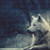 Watching White Wolf Cross Stitch Pattern / Stitchx Craft Designs