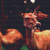 Deer Closeup Cross Stitch Pattern / Stitchx Craft Designs