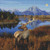 Blue Skies Elk Cross Stitch Pattern / Stitchx Craft Designs