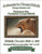 Fierce Lion Cross Stitch Pattern / Stitchx Craft Designs