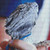 Posing Reptile Cross Stitch Pattern / Stitchx Craft Designs