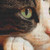 Pondering Cat Cross Stitch Pattern / Stitchx Craft Designs
