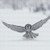 Flying Snow Owl Cross Stitch Pattern / Stitchx Craft Designs