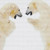 Fighting Polar Bears Cross Stitch Pattern / Stitchx Craft Designs