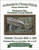 Blending Lizard Cross Stitch Pattern / Stitchx Craft Designs