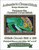 Crazy Chameleon Cross Stitch Pattern / Stitchx Craft Designs
