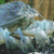 Silver Fish Thing Cross Stitch Pattern / Stitchx Craft Designs
