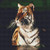 Majestic Tiger Profile Cross Stitch Pattern / Stitchx Craft Designs