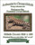 Camouflage Lizard Cross Stitch Pattern / Stitchx Craft Designs