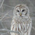 Snowy White Owl Cross Stitch Pattern / Stitchx Craft Designs