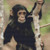 Cute Baby Chimp Cross Stitch Pattern / Stitchx Craft Designs