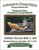 Two Kittens On A Roof Cross Stitch Pattern / Stitchx Craft Designs