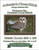 Funny Looking Owl Cross Stitch Pattern / Stitchx Craft Designs